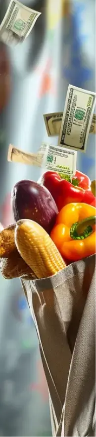 Bag of groceries hanging in the air with dollar bills falling behind